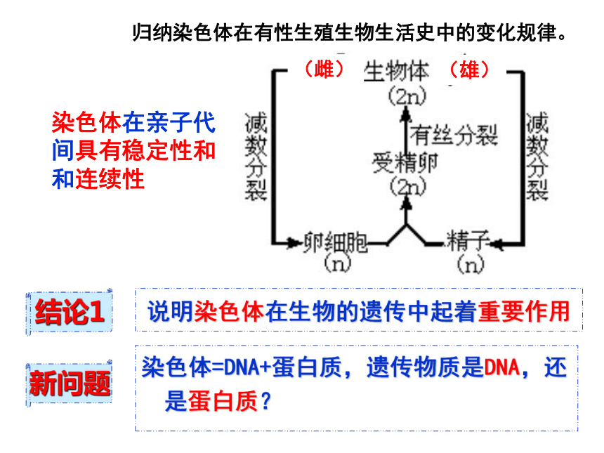 人教版生物必修二课件：3.1 DNA是主要的遗传物质（共36张PPT）