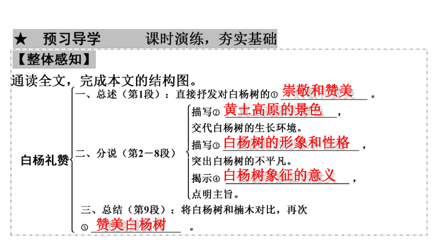 部编版语文八年级上册第4单元  15　白杨礼赞 习题课件 （共41张PPT）