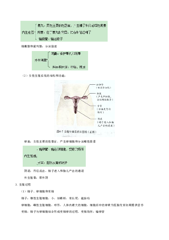 中考生物必背知识点七年级下册（人教版）