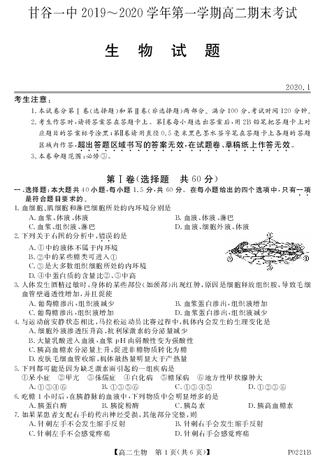 甘肃省甘谷第一中学2019-2020学年高二上学期期末考试生物试题 PDF版含答案