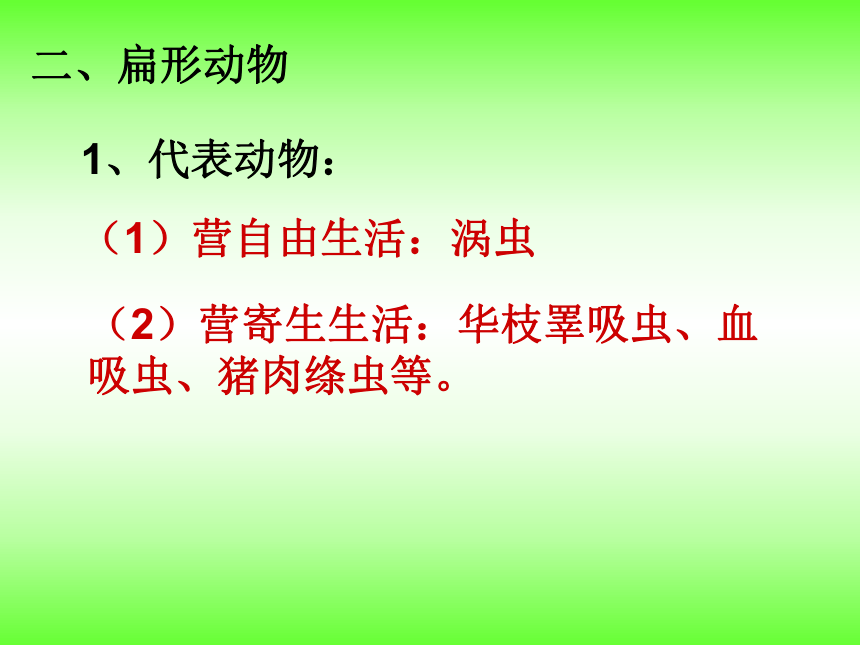 第一章-动物的主要类群（第一部分无脊椎动物）复习课件（共23张PPT）