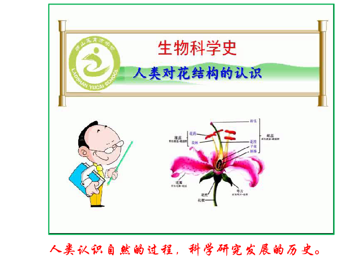 开花和结果