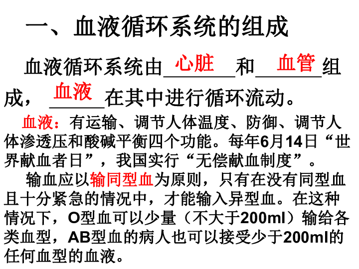 心脏和血管课件（31张PPT）