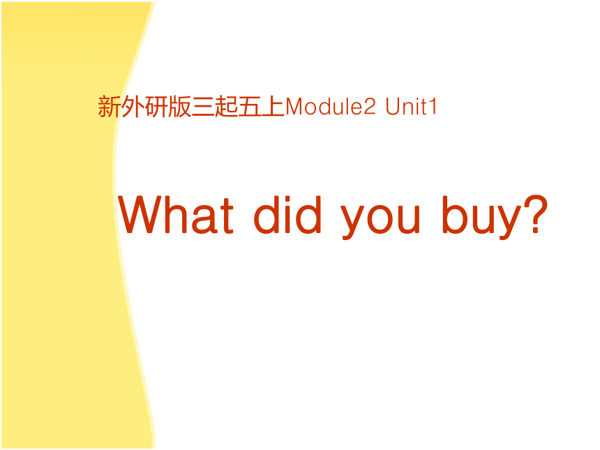 Unit 1 What did you buy？ 课件 (共29张PPT)
