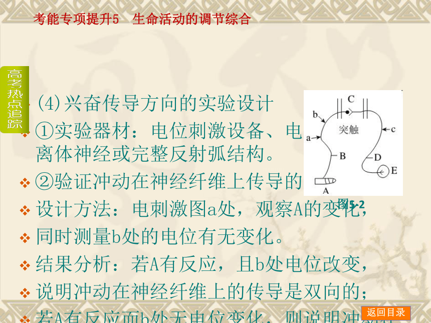 【新课标人教通用，一轮基础查漏补缺】考能专项提升5 生命活动的调节综合 （61ppt）