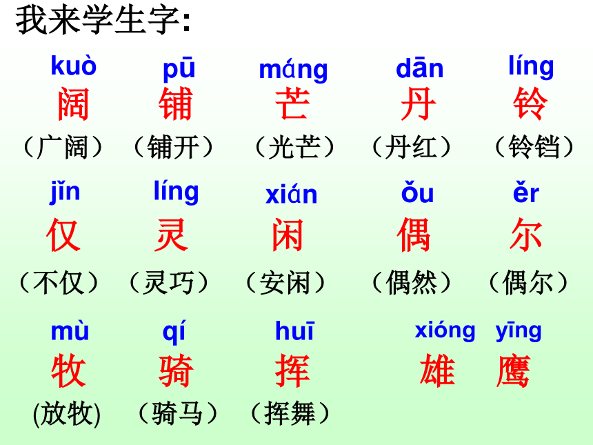 《锡林郭勒草原》课件