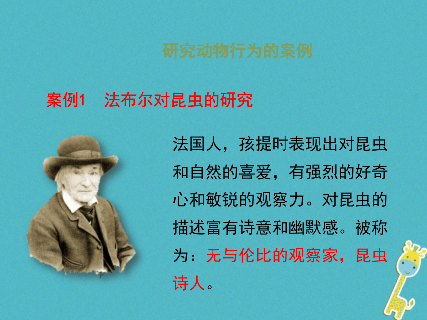 广东省揭阳市八年级生物上册16.3动物行为的研究课件（新版）北师大版