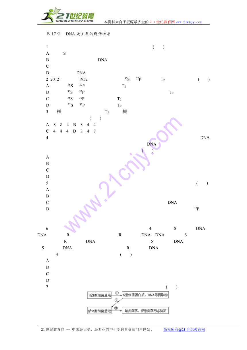 【人教新课标】2014届高三一轮复习专讲专练：第17讲　DNA是主要的遗传物质（含详解）