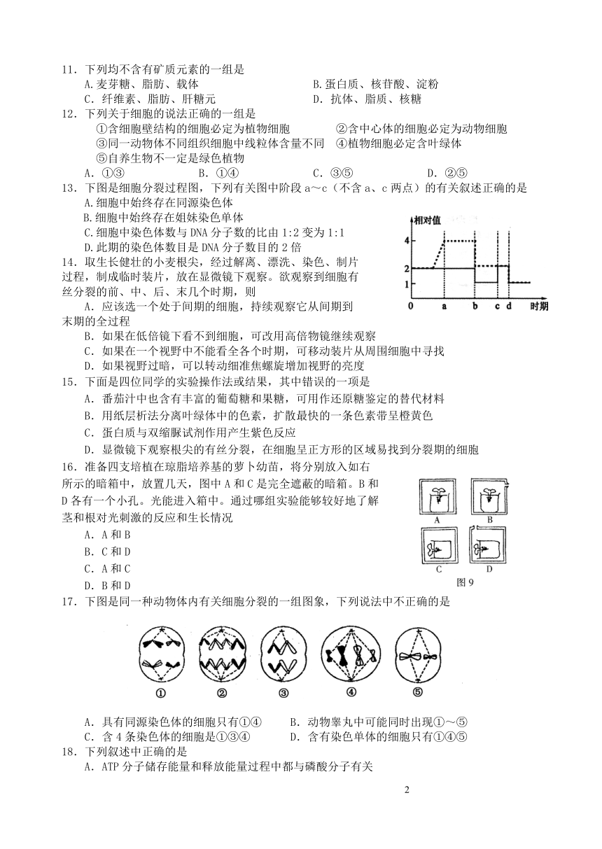 湖南省地质中学2006-2007学年度12月高二调研试卷生物试卷[上学期]