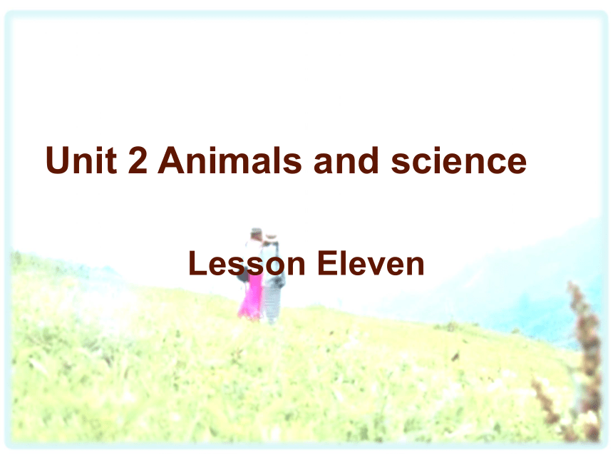 Unit 2 Animals and science  Lesson 11 课件