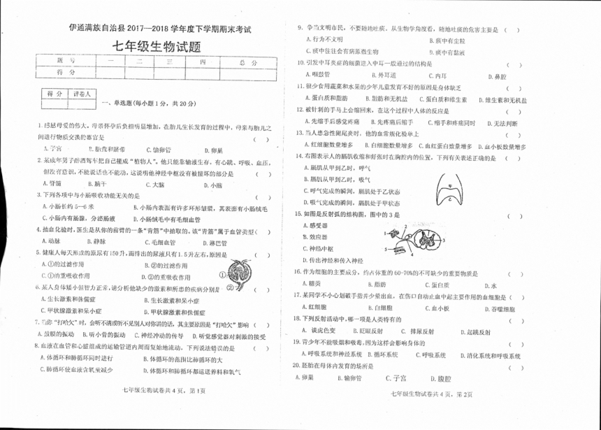 吉林省伊通满族自治县2017-2018学年七年级下学期期末考试生物试题（pdf版，含答案）