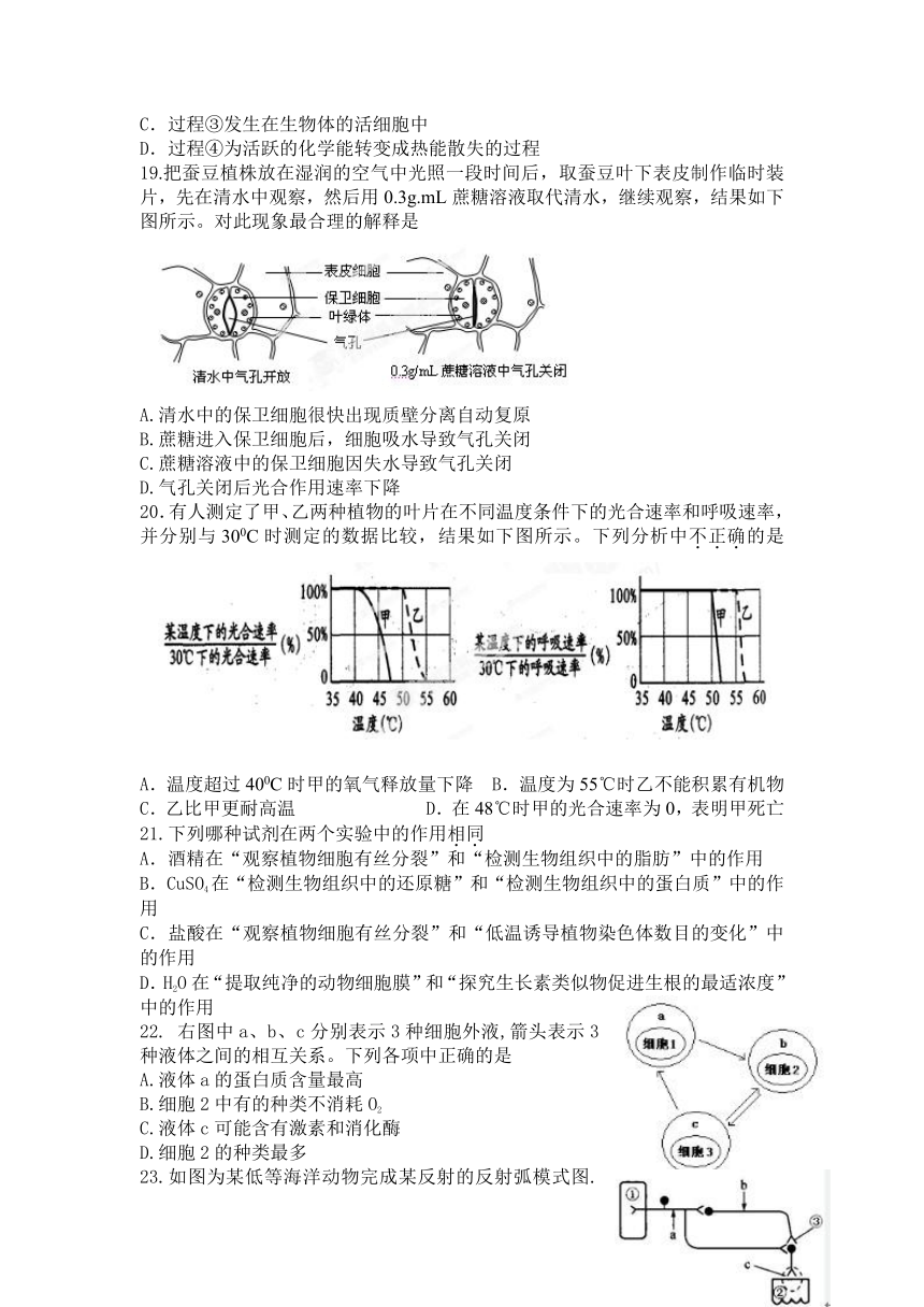 辽宁省北镇高中2012-2013学年高二下学期期末考试生物试题