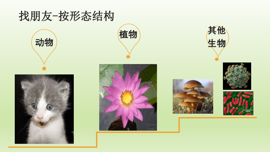 1.1.2 调查周边环境的生物 课件（22张PPT）