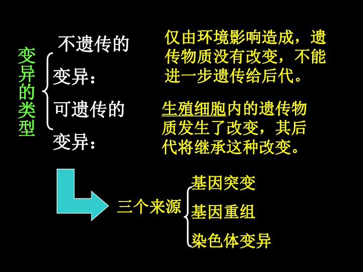 人教版高中生物必修二 5.1基因突变和基因重组（30张）