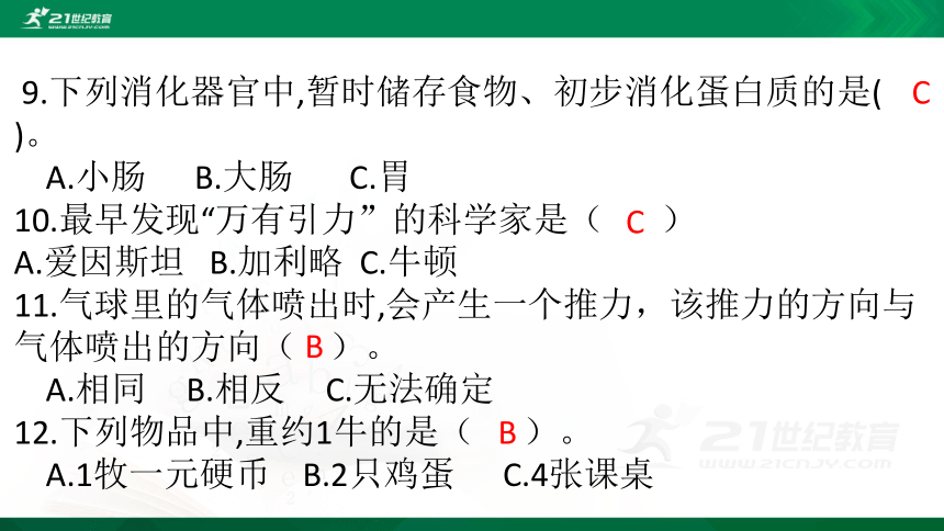 课件预览