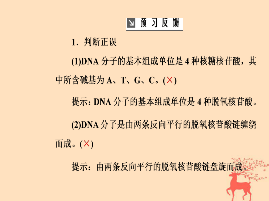 2018年秋高中生物新人教版必修2第三章基因的本质第2节DNA分子的结构课件（42张PPT）