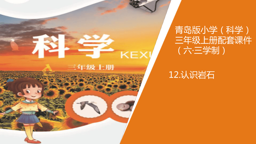 课件预览