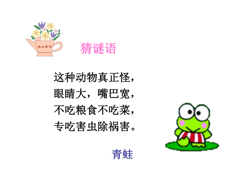 《青蛙看海》课件