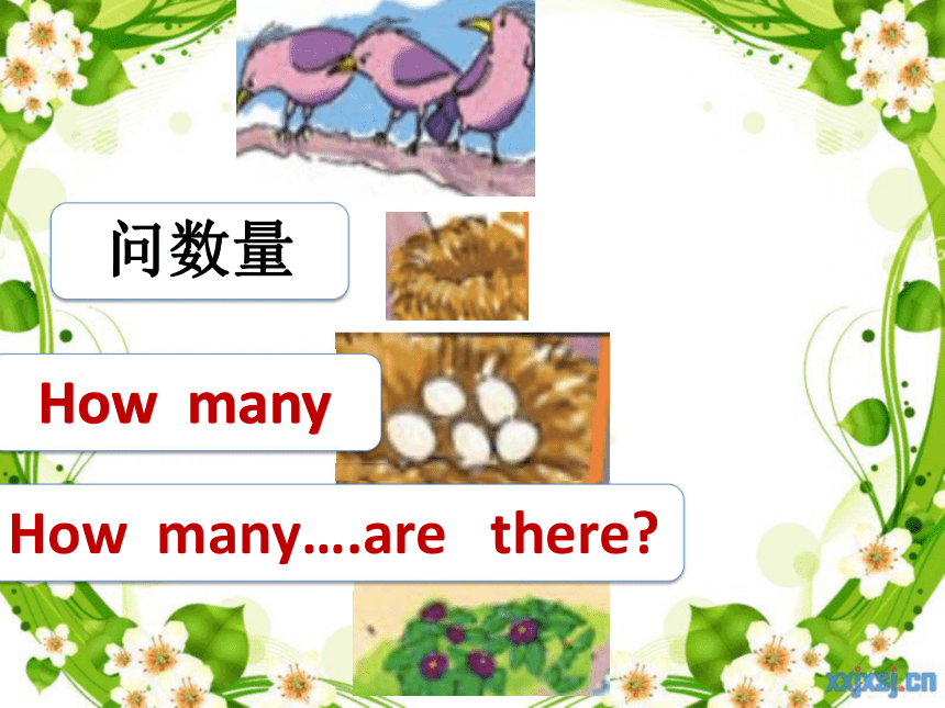 Lesson 1 How many birds are there？课件