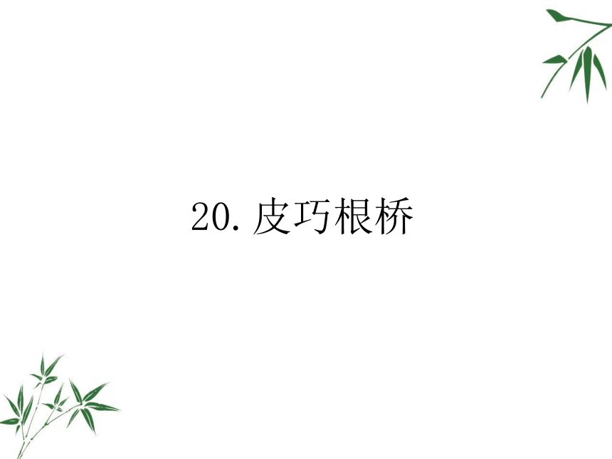 皮巧根桥课件 (共17张PPT)