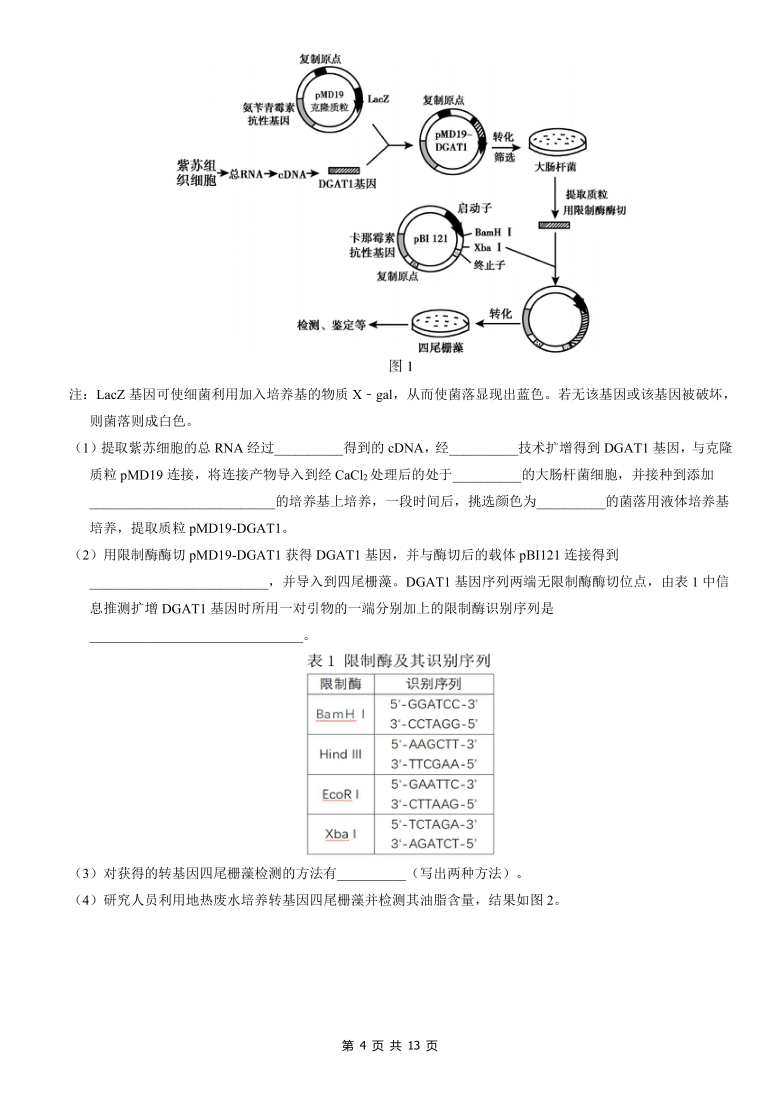 北京市朝阳区2021届高三上学期期中考试生物试题