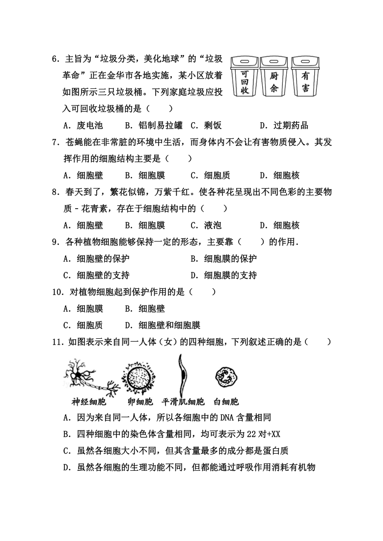 河南省周口市太康县2019-2020学年第一学期七年级生物期中考试试题（word版，含答案）