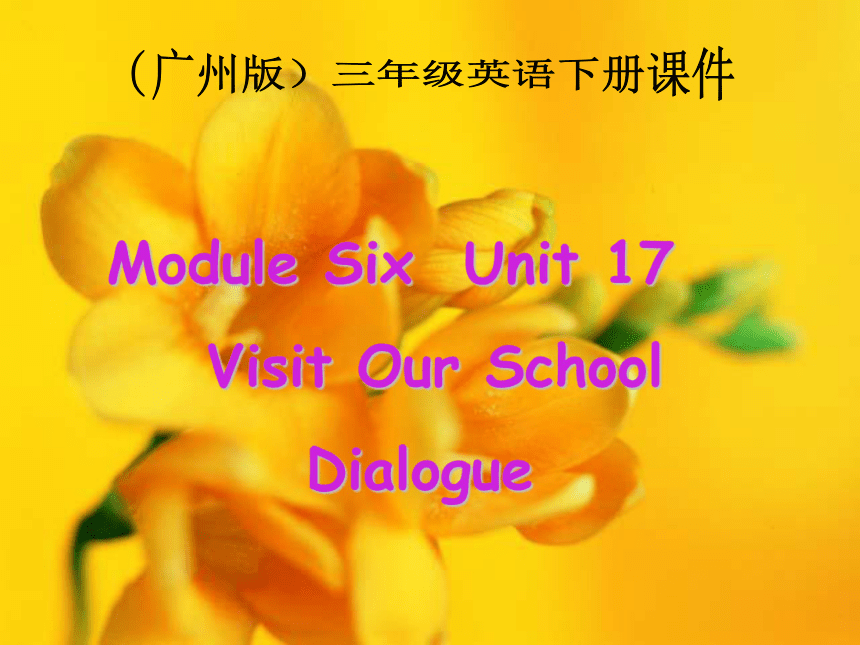 广州版小学英语三年级下册Module6 Unit17之二 PPT课件