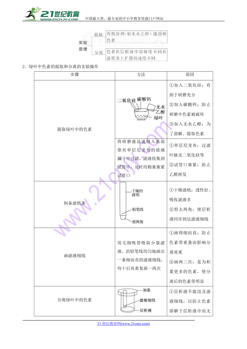 2018年高考生物高频考点解密07+能量之源——光与光合作用