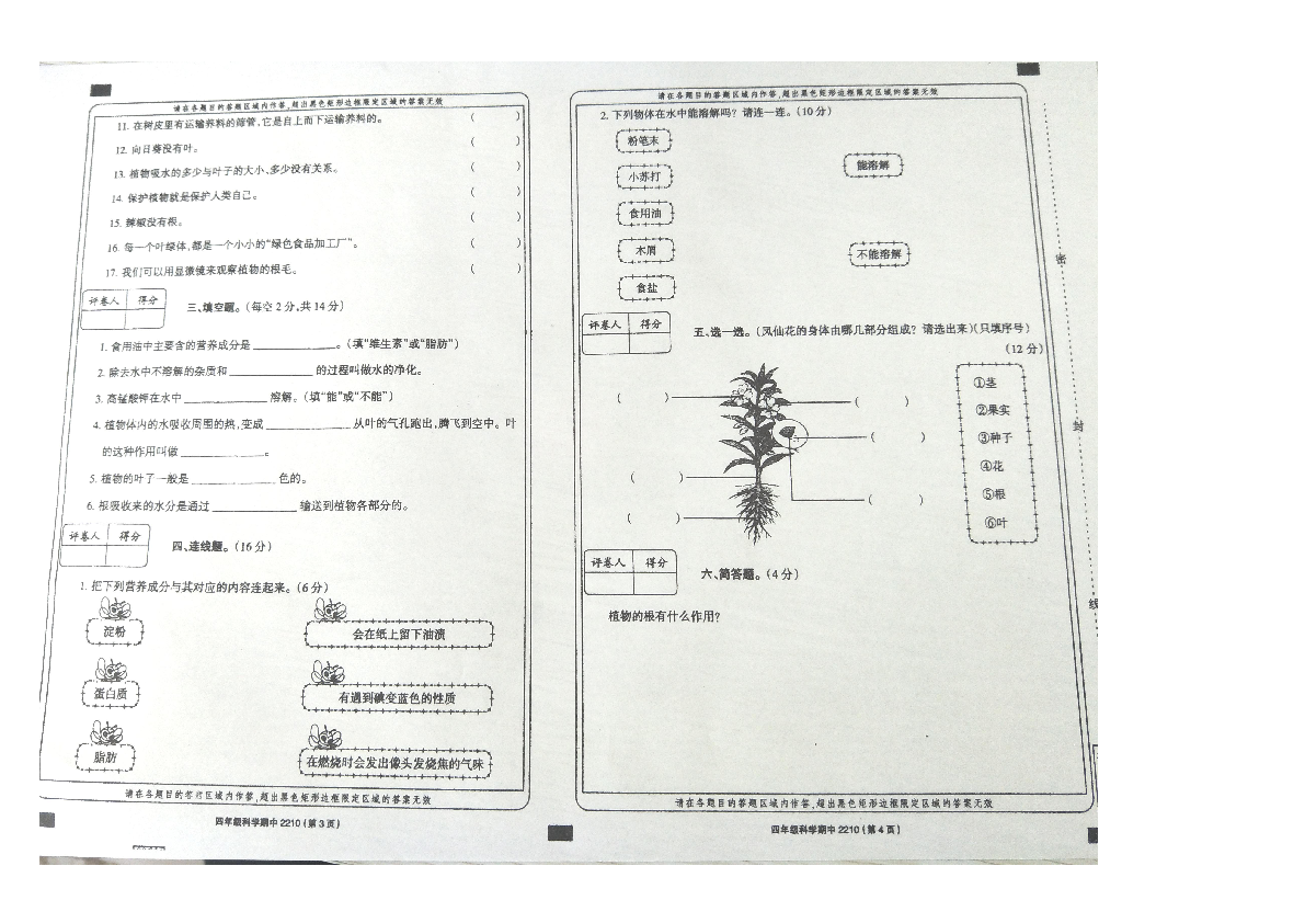 山东省德州市宁津县2019-2020学年第一学期四年级科学期中测试卷（图片版，无答案）