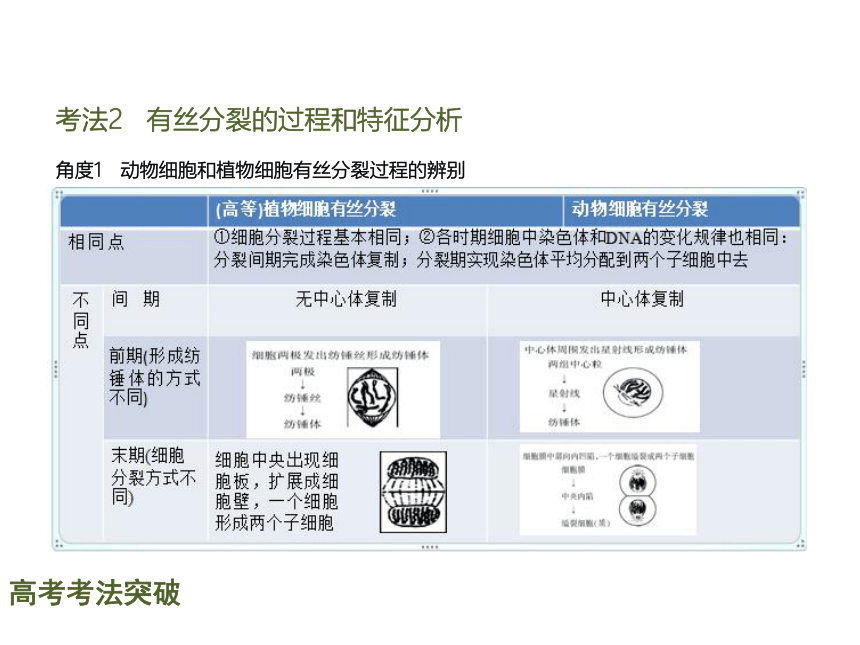 【理想树600分考点 700分考法】 2016届高考生物专题复习课件：专题5   细胞的生命历程（共36张PPT）