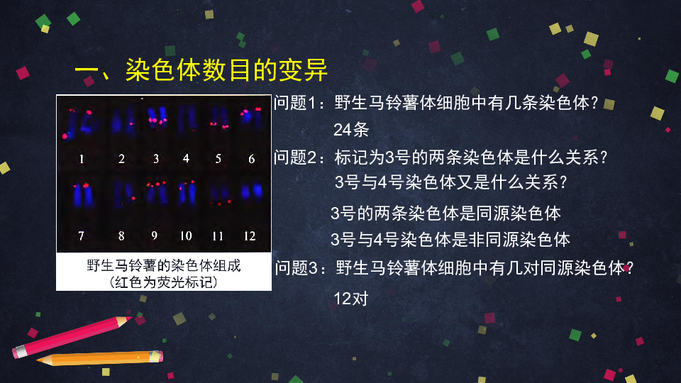 高一生物人教版必修2第二章第二节染色体变异课件共37张ppt