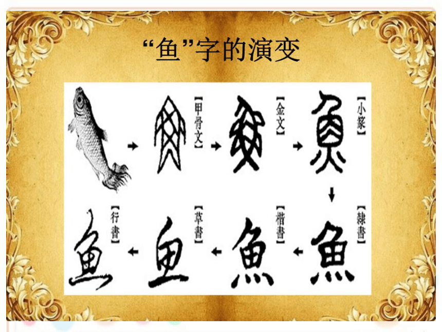 鱼的演变过程汉字图片