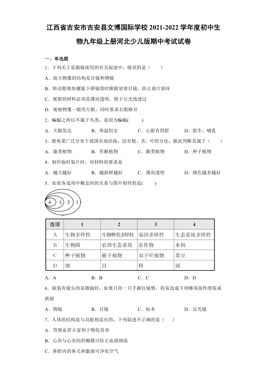 江西省吉安市吉安县文博国际学校2021-2022学年上学期 期中考试 九年级生物试卷（word版 含解析）