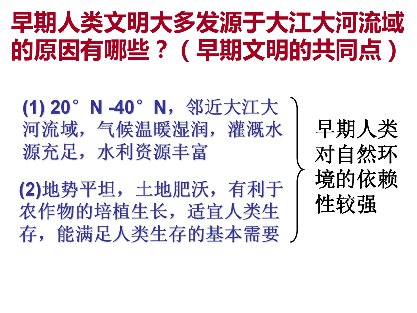 大河流域的文明发祥地 课件