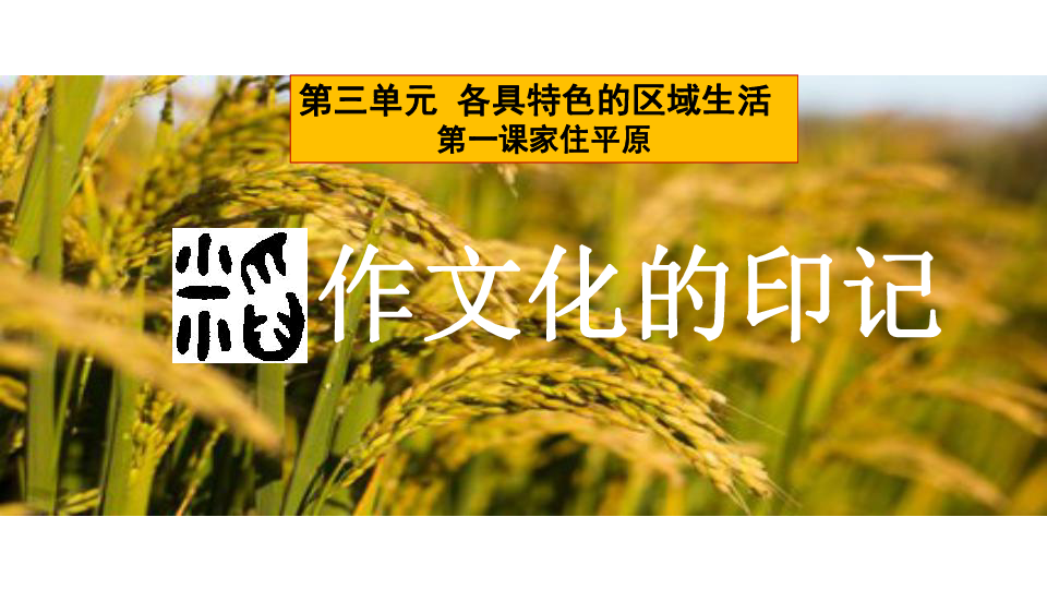 稻作文化的印记 课件(共16张PPT)