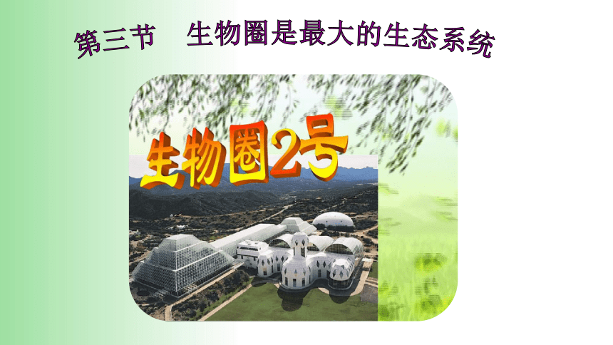 2021——2022学年人教版七年级生物上册1.2.3 生物圈是最大的生态系统 课件（21张PPT）