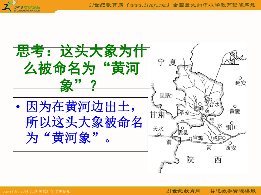 六年级语文下册课件 黄河象 3（北京版）