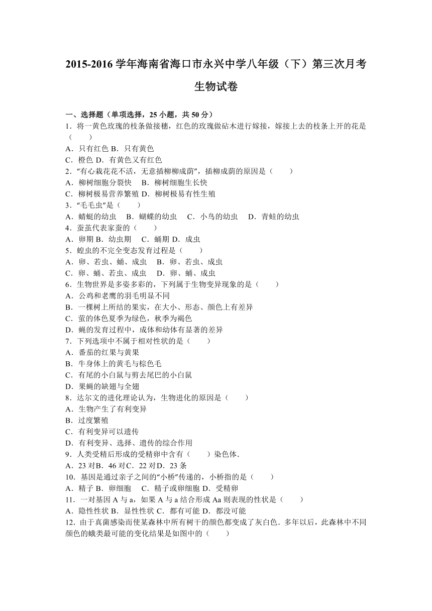 海南省海口市永兴中学2015-2016学年八年级（下）第三次月考生物试卷（解析版）