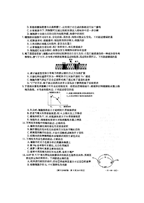 2019年下学期邵阳市高三联考阶段性诊断测试生物试题（扫描版）