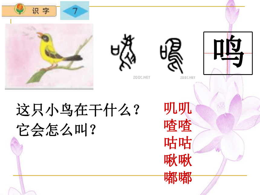 苏教版二年级上册 语文《识字7》课件PPT