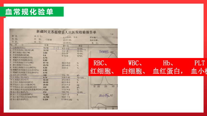 梅姓人口2020_人口普查(3)