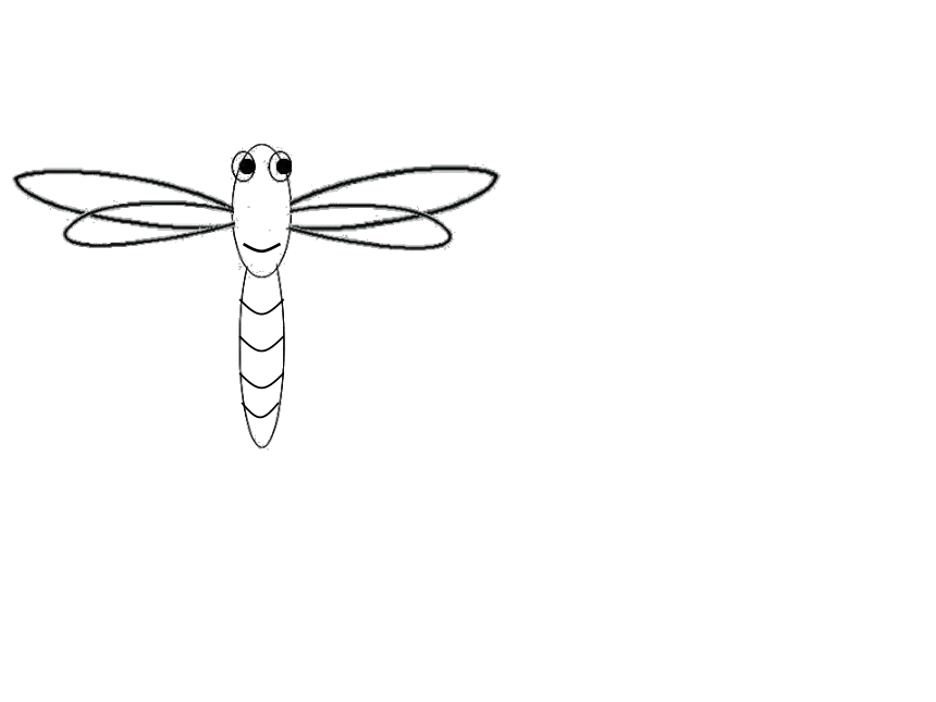 蜻蜓飞舞 课件 (4)