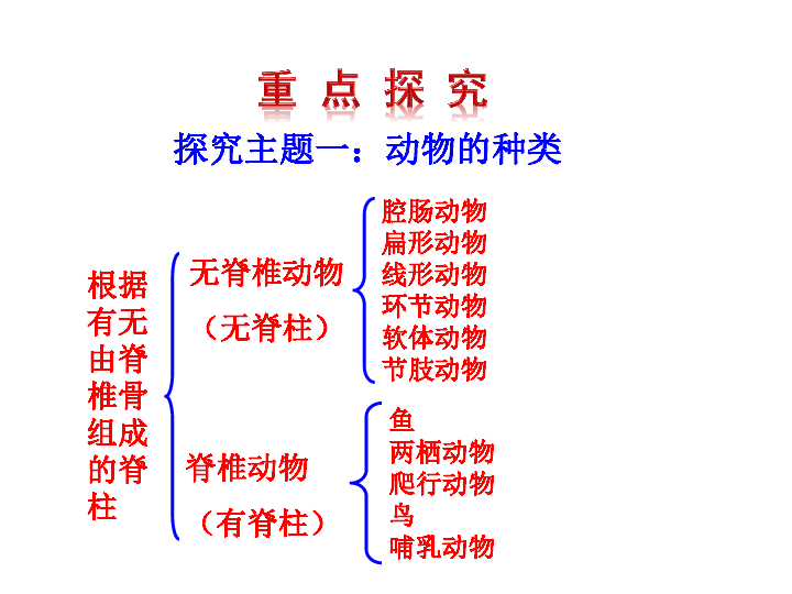 人教版生物八年级上册课件5.1.4 鱼 课件(共22ppt)