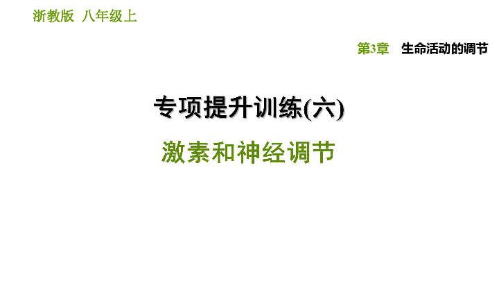 第3章 生命活动的调节 专项提升训练(六) 激素和神经调节  同步练习（课件 29张PPT）