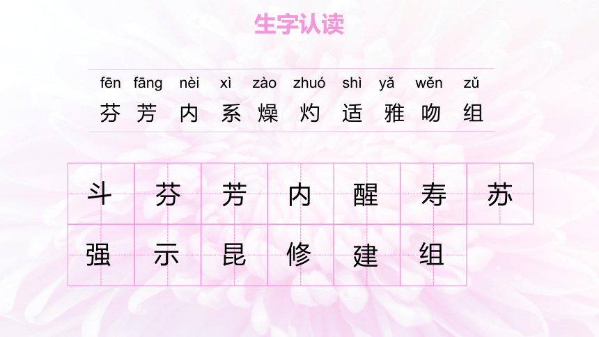 13 花钟（2课时） 课件(共27张PPT)