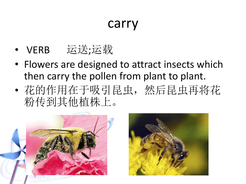 Unit 2 What do flowers do? Lesson 7 课件