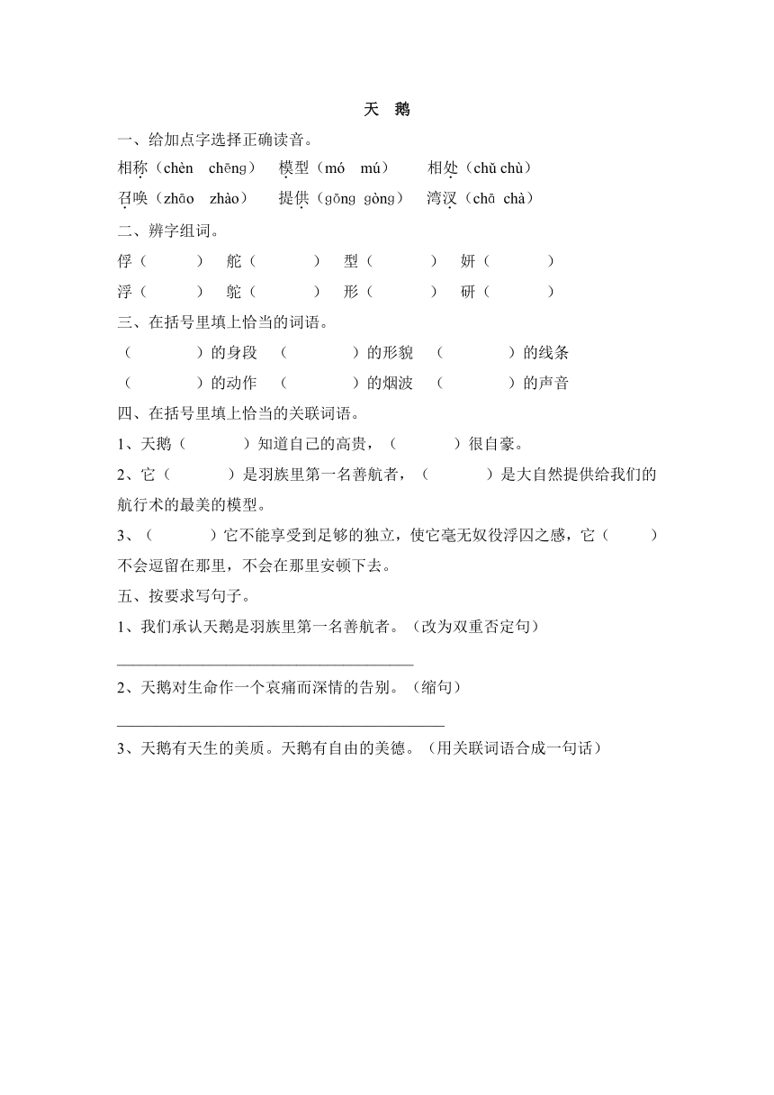 3.1 天鹅同步练习（含答案）