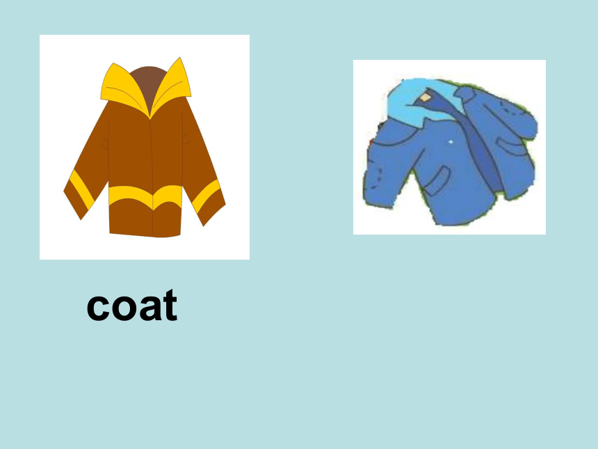Lesson 3 Whose coat is this? 课件