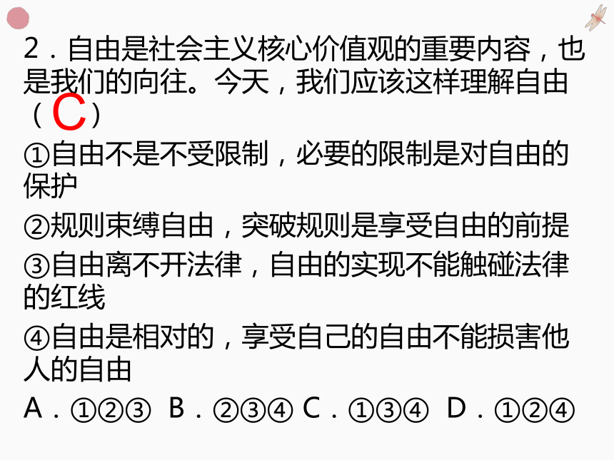 2021年中考道德与法治专题复习：十九、自由平等复习习题课件（28张幻灯片）