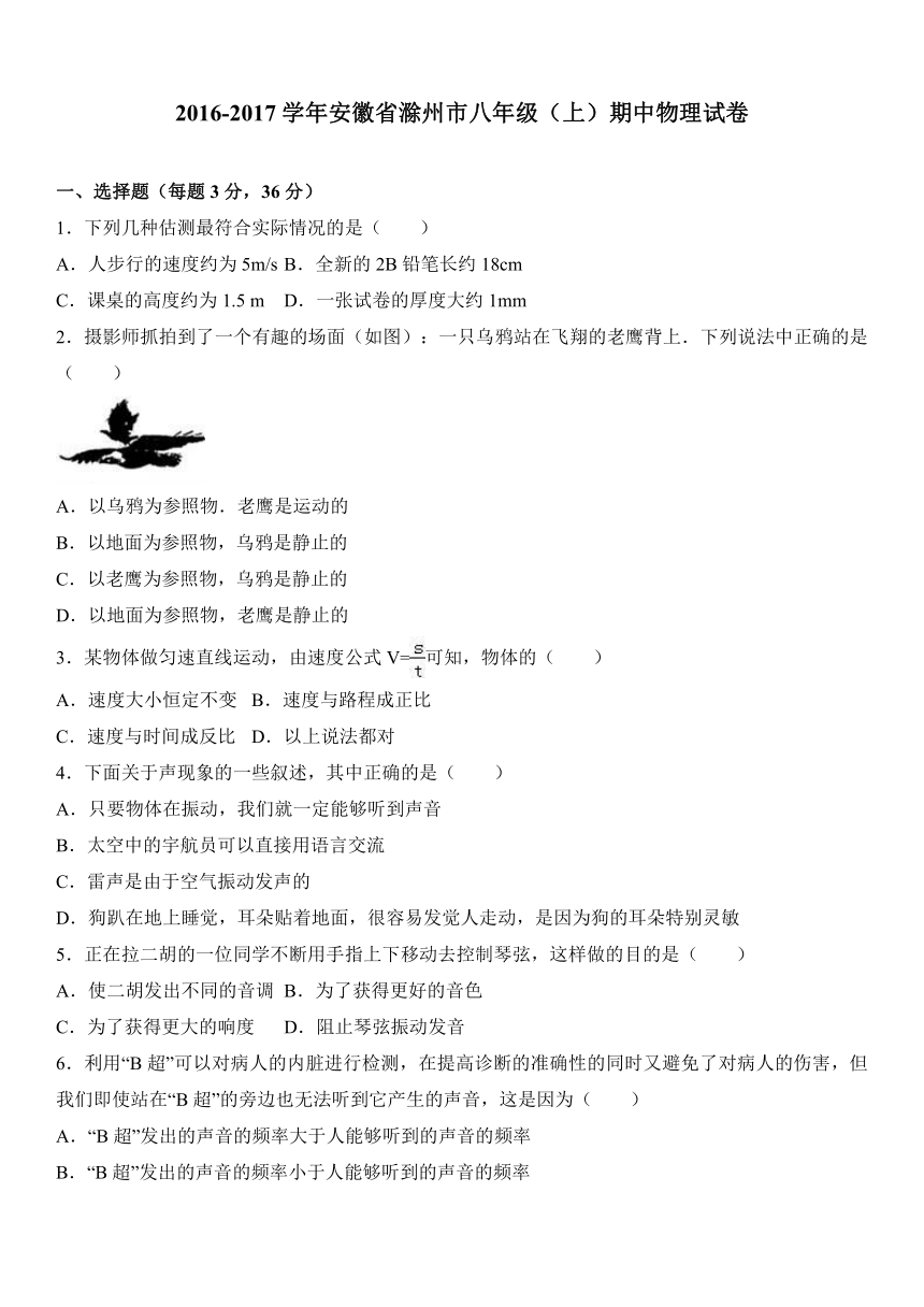 安徽省滁州市2016-2017学年八年级（上）期中物理试卷（解析版）